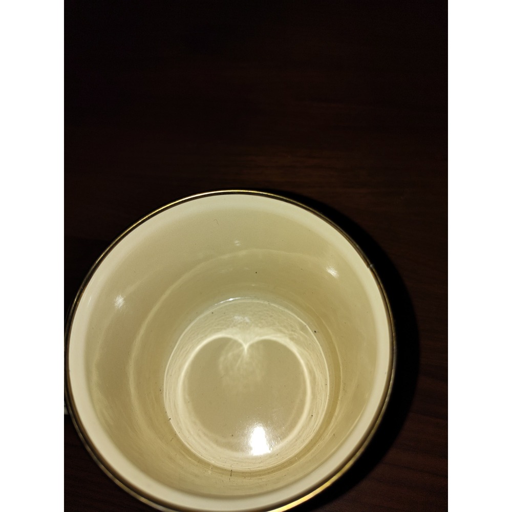 Gift Republic Dinosaur Skeleton Enamel Mug Cream Tyrannosaurus Rex GR270058 NEW - Picture 5 of 5